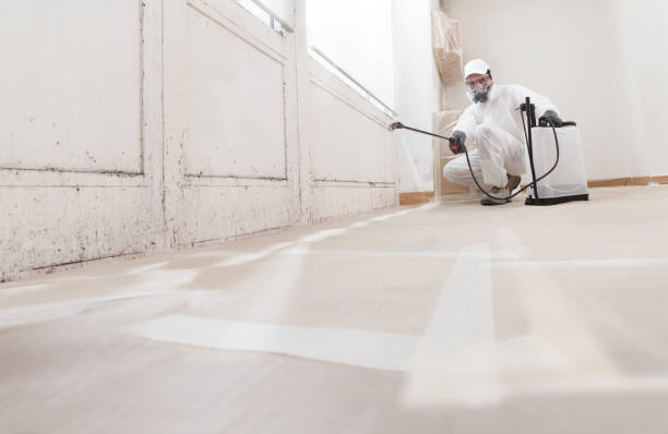 24/7 Emergency Mold Cleanup experts in Hillsboro, IL