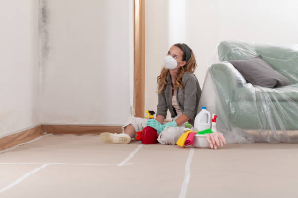 Reliable Mold Cleanup contractor in Hillsboro, IL by WQB Mold Removal
